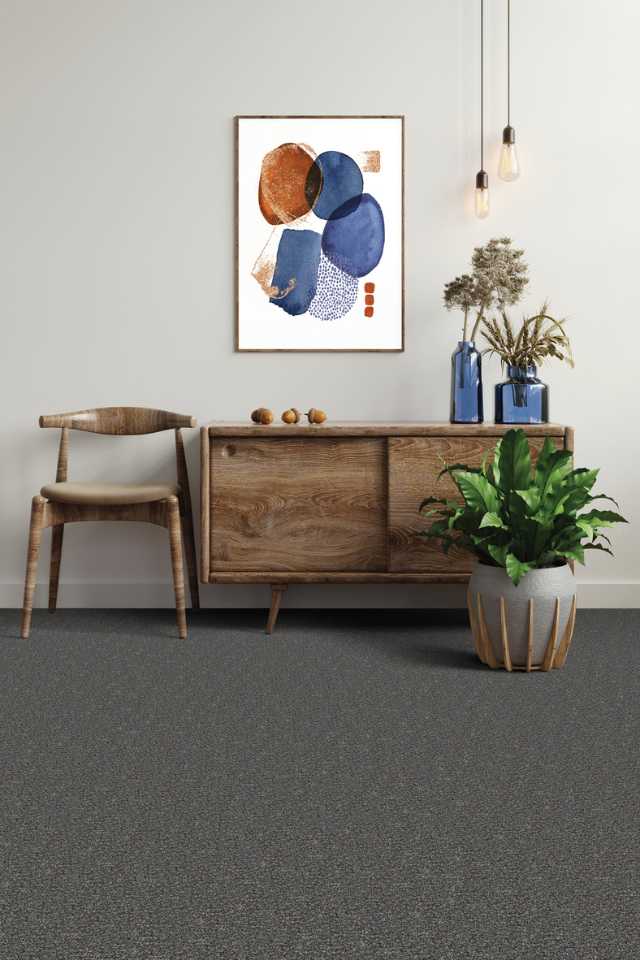 patterned grey carpet in living room with wood accents and artwork